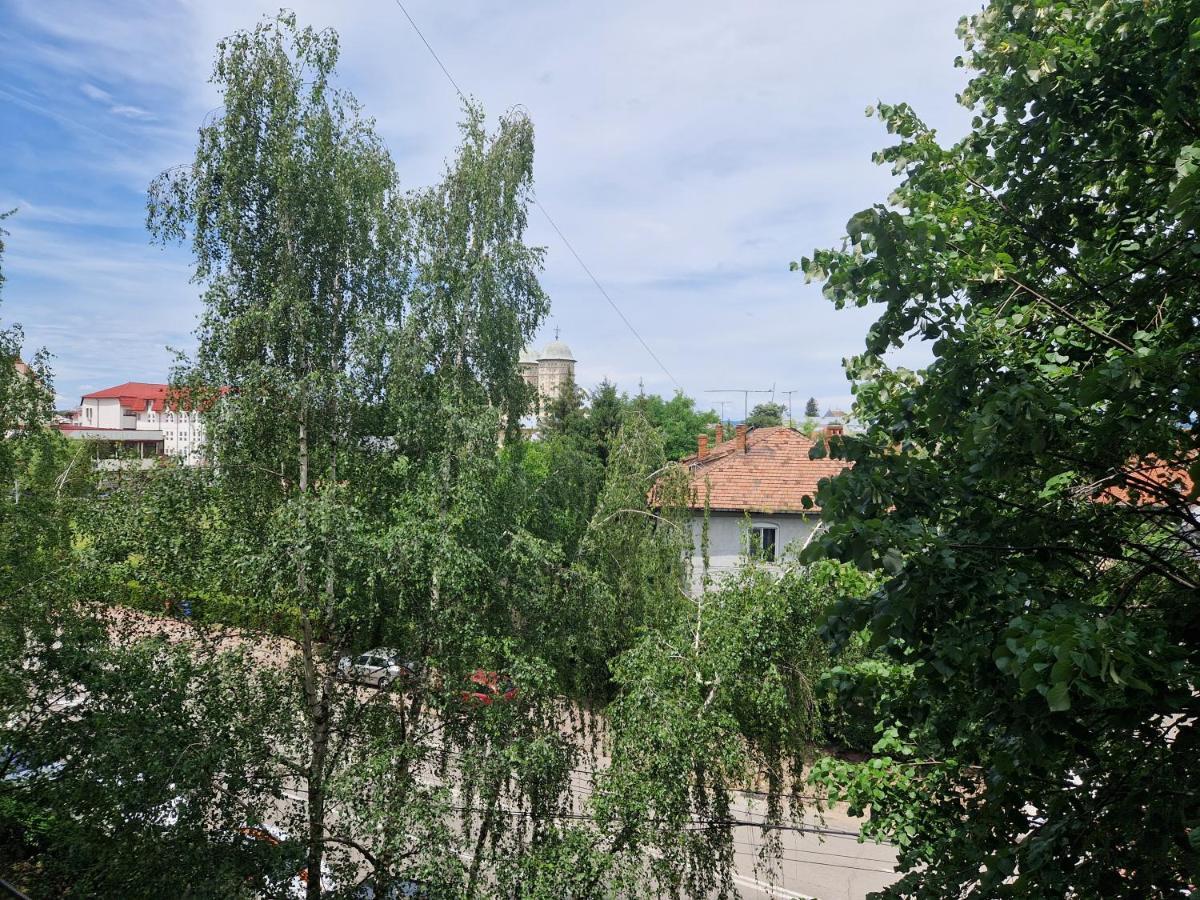 Cozy Appartment In The Center 特尔戈维什泰 外观 照片